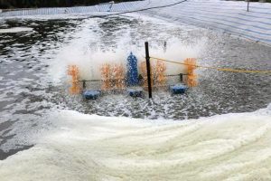 Hướng dẫn sử dụng men vi sinh trong nuôi tôm cá