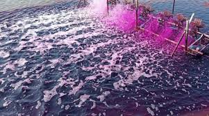 SỬ DỤNG HIỆU QUẢ THUỐC SÁT TRÙNG TRONG THỦY SẢN