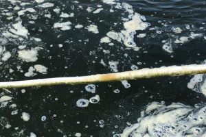 Bronopol - Hóa Chất Đặc Trị Nấm và Kí Sinh Trùng Trên Tôm Cá