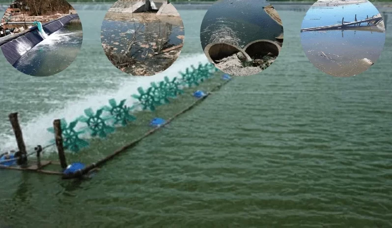 Hướng dẫn sử dung khoáng cacl2 trong nuôi tôm