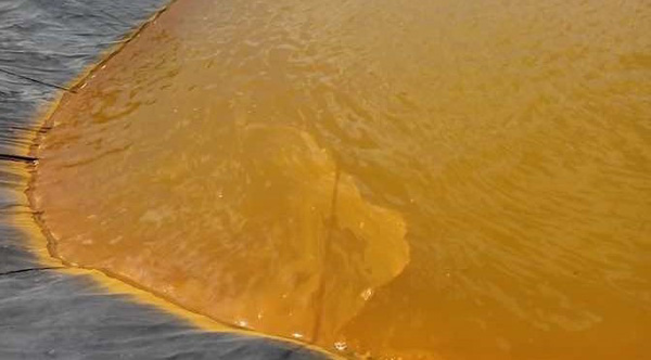 Kinh nghiệm xử lý phèn ao tôm