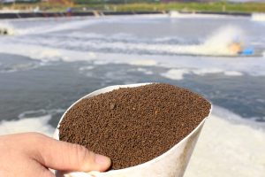 THÀNH PHẦN DINH DƯỠNG TRONG THỨC ĂN THỦY SẢN