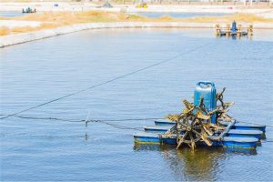 Chất lắng tụ trong nuôi trồng thủy sản