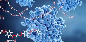 Vai trò của ENZYME trong nuôi trồng thủy sản bền vững