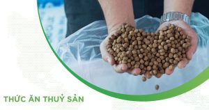 VAI TRÒ VÀ CÁC THÀNH PHẦN CÓ TRONG THỨC ĂN NUÔI TÔM