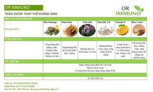 Thảo-dược-thay-thế-kháng-sinh-OR-IMMUNO