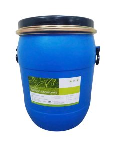 B. LICHENIFORMIS - MEN VI SINH TIÊU HÓA, BỔ SUNG LỢI KHUẨN