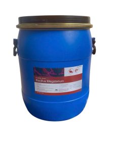 Hình ảnh sản phẩm B. MEGATERIUM 10B – 20B, men vi sinh hỗ trợ tiêu hóa và cân bằng hệ vi sinh đường ruột.