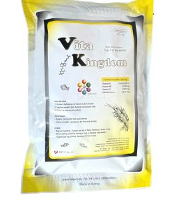 Hình ảnh sản phẩm VITA KINGDOM – vitamin tổng hợp giúp tăng cường sức khỏe và sức đề kháng.