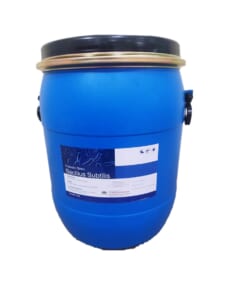 B. SUBTILIS 10B - 20B - MEN VI SINH TIÊU HÓA, BỔ SUNG LỢI KHUẨN