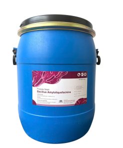 Hình ảnh sản phẩm men vi sinh AMYLOLIQUEFACIENS hỗ trợ tiêu hóa, bổ sung lợi khuẩn.