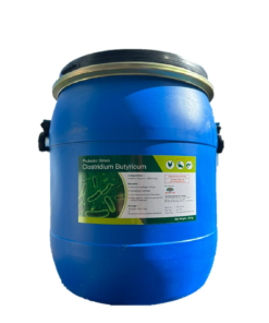 C. BUTYRICUM - MEN VI SINH TIÊU HÓA, BỔ SUNG LỢI KHUẨN