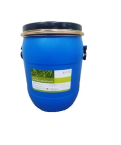 Bacillus Licheniformis