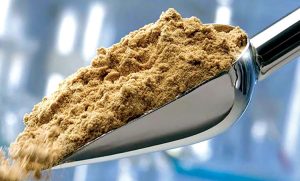 Đạm thủy phân chức năng