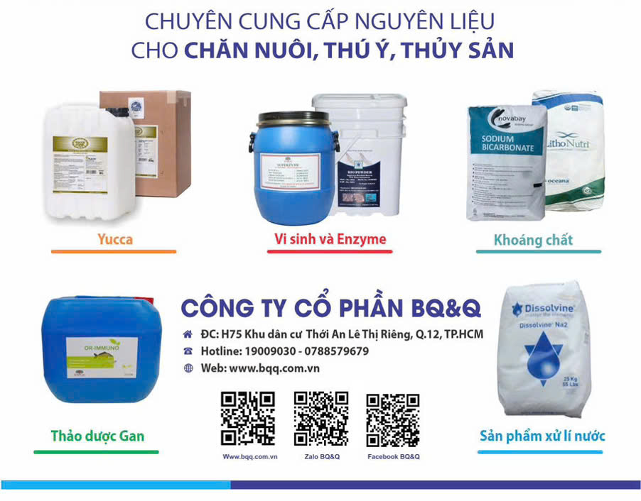 danh mục sản phẩm bền vững của BQ&Q