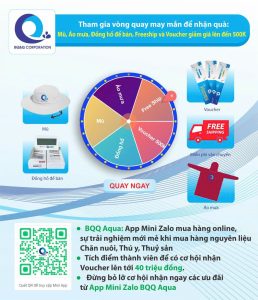 vòng quay may mắn để nhận quà