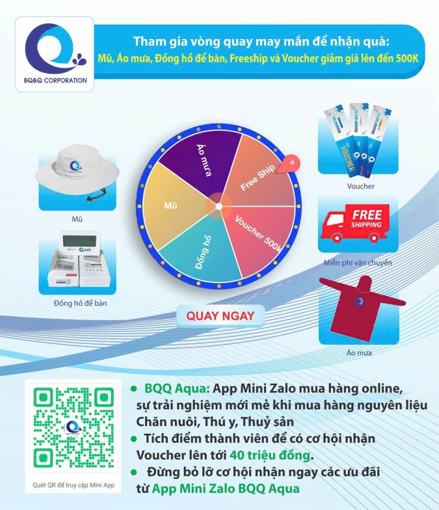 vòng quay may mắn để nhận quà 
